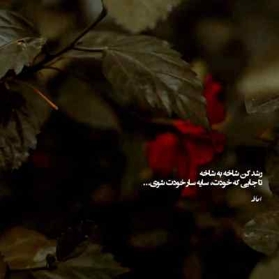 دانلود آهنگ شرمت باد ای دستی که بد بودی بدتر کردی