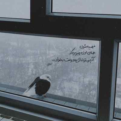 دانلود آهنگ من دلم نمیخواست ولی از شایع