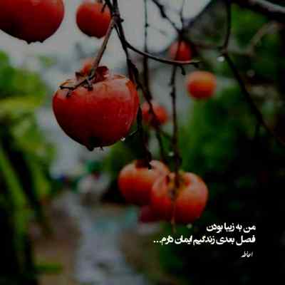 دانلود ریمیکس طغیان از بهرام حصین علی سورنا و امیر ریبار