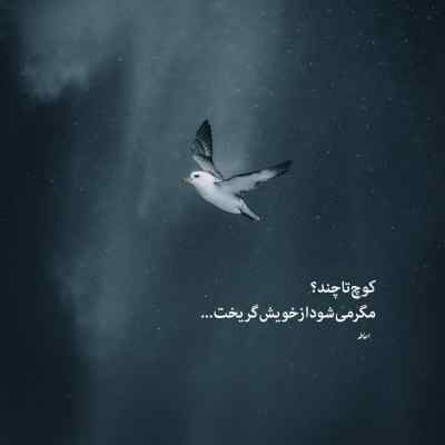 دانلود ریمیکس هپی از علی سورنا بهرام پیشرو حصین دپ رپی