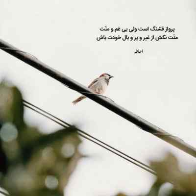دانلود ریمیکس امانتی از حصین شایع علی سورنا امیر تتلو مهرشید یاسر بینام