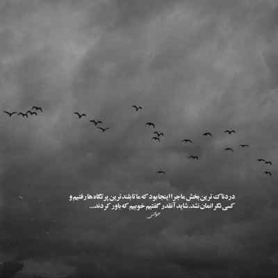 دانلود ریمیکس زرد از علی سورنا مسلک فدی تتلو رضا پیشرو بهرام