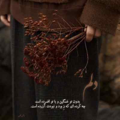 دانلود ریمیکس غریبه 3 از علی سورنا ناجی دانیال علیراد مهدیار امیر خلوت و شایع