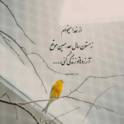 دانلود ریمیکس دوئل از علی سورنا حصین بهرام رضا پیشرو دانیال ویناک خلوت گنگ