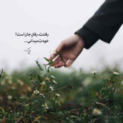 دانلود آهنگ تو بیا صنما آریانا سعید