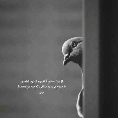 دانلود آهنگ تو خودت منو نخواستی اشکالی نداره از دورچی