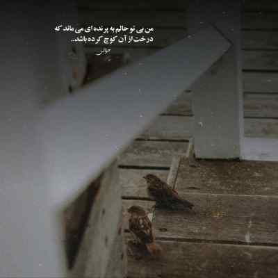 دانلود آهنگ سلطان قلبم از توحید ناصری