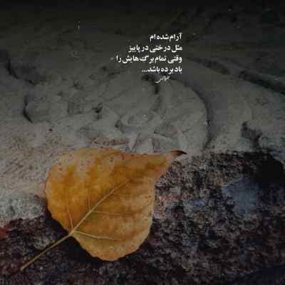 دانلود آهنگ وقتی هوا بارونیه دل من تنگه خیابونیه هوش مصنوعی