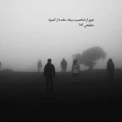 دانلود آهنگ هوادار از یوسف زمانی هوش مصنوعی جاوید سلیمانی