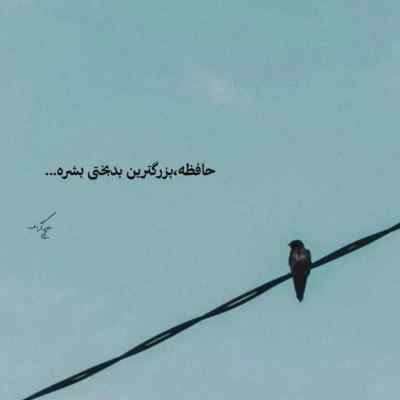 دانلود آهنگ لیل ناز اکس industry baby
