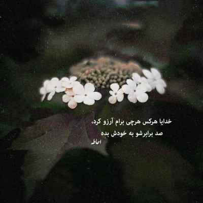 دانلود آهنگ نمیشه ازت دل کند هایده