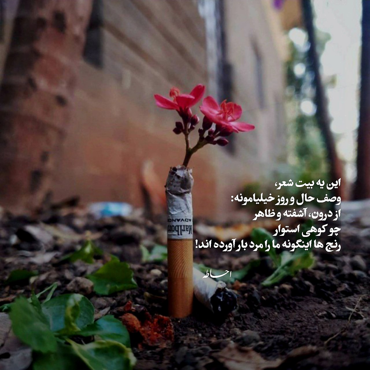 «دارم میرم سربازی گریه نکن یار خدانگهدار»