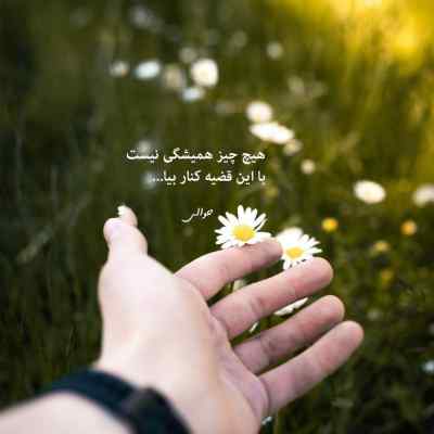 دانلود مداحی عجب حرمی داری تو خیالم