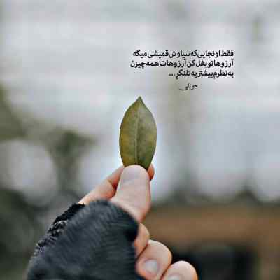 دانلود آهنگ عروس چقدر قشنگه ایشالا مبارکش باد سه برادر