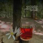 دانلود آهنگ برای دیدن تو بیقرارم تا بیام از سفر