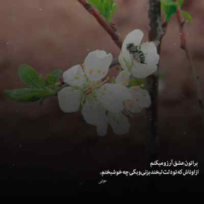 دانلود آهنگ به کتاب عشق من تو کلام اخری