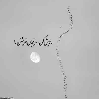 دانلود آهنگ برو برو شیلا