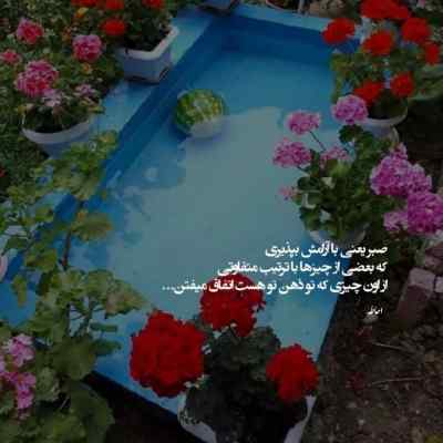 دانلود ریمیکس امشو شوشه حالی به حالم کرد از سندی لرازیس بند تی ام بکس عارف کامیار