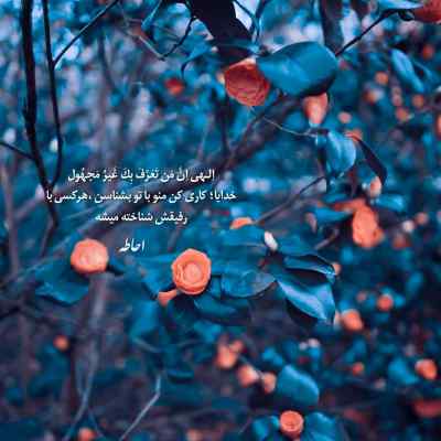 دانلود آهنگ دیگه قلبم بی حسه از الان