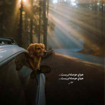 دانلود آهنگ خبر داری زمین گرده لگد کردی لگد میشی از محسن چاوشی