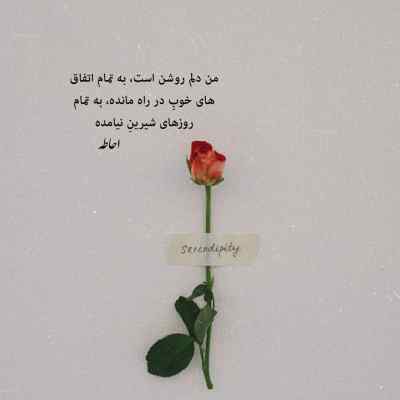 دانلود آهنگ مرد اون ادم خونگرم