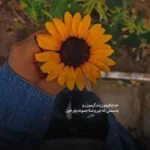 دانلود آهنگ ناصر زینلی دوست دارم دانلود آهنگ ناصر زینلی دوست دارم