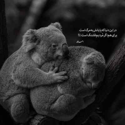 دانلود آهنگ نظری به حال ما کن آخه رحمی یه مروت به دل و به جان ما کن