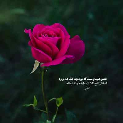 دانلود آهنگ پوری دخیه میکنه د ویکند پلی