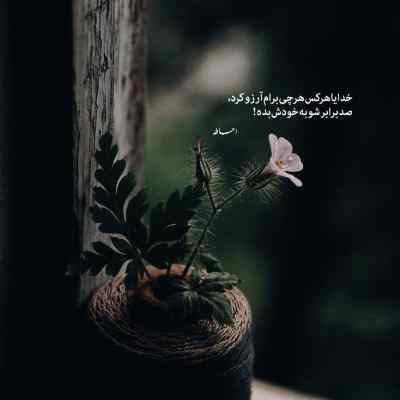 دانلود آهنگ سالها دل طلب جام جم از ما میکرد