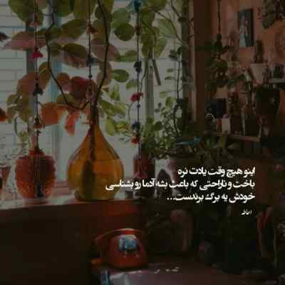 دانلود آهنگ یه چیزی تومه که بهم میگه شیر میگه میرسی از شایع