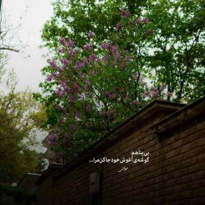 دانلود آهنگ ﻳﻪ ﺟﻮری ﻋﺎﺷﻘﻢ ﻛﻪ ﺑﺎ ﺗﻮ ﺣﺎﺿﺮم ﺗﺎ ﺧﻮد ﻣﺎه ﺑﺮم از دکاموند