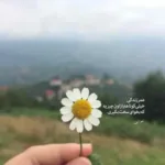 دانلود آهنگ زنده باد هرکی هنوز یه عاشقه