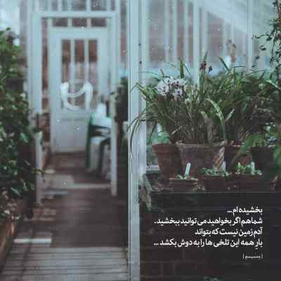 دانلود آهنگ ذوقشو دارم یه روزی بی هوا سر برسی هوش مصنوعی