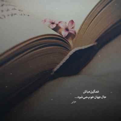 دانلود آهنگ اگر فکر احساس مونی برو اگه عاشق هردومونی برو