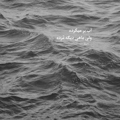 دانلود آهنگ اگر چه جای دل دریای خون در سینه دارم