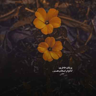 دانلود آهنگ سی دیدنت خو ندارم سی بغلت کم تو ندارم از علی افشون لری