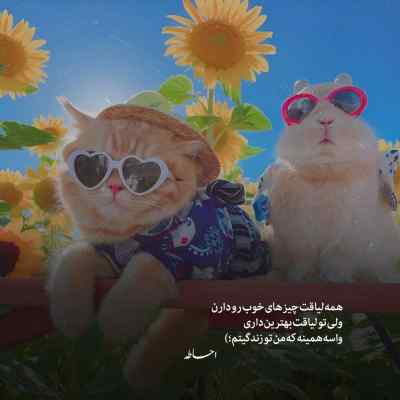 دانلود ریمیکس با همه لاس میزنم یه زنگ به عباس میزنم