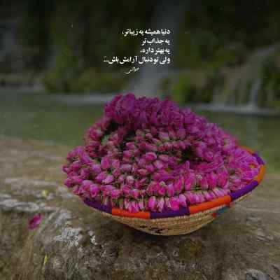 دانلود آهنگ بهار بهار چه اسم آشنایی تورج شعبانخانی