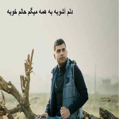 دانلود آهنگ دلم آشوبه به همه میگم حالم خوبه از فرهاد جهانگیری