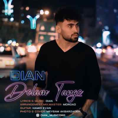 دانلود آهنگ دلم تنگه از دیان