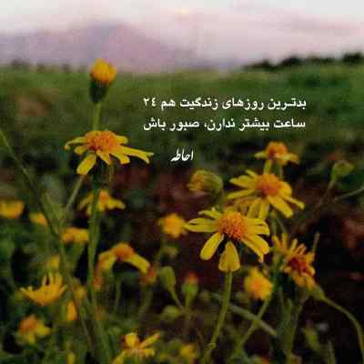 دانلود آهنگ امشب دیگه هر حرفی دلم خواست میزنم