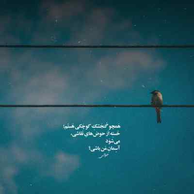 دانلود آهنگ هله دان دان دان هله یه دان برات می خونم