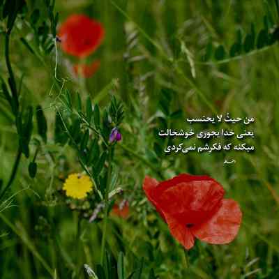 دانلود آهنگ ﻣﺎ ﭘﺎﻳﻨﺪه ﺑﺎد ﺧﺎک اﻳﺮان ﻣﺎ ﺳﻨﮓ ﻛﻮﻫﺖ در و ﮔﻮﻫﺮ اﺳﺖ