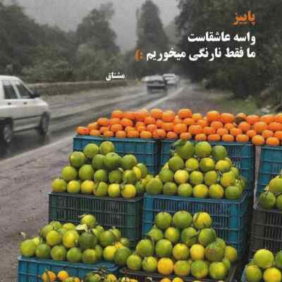 دانلود آهنگ من بنده آن دمم که ساقی گوید