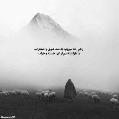 دانلود آهنگ من و تو زنده موندیم و به سختی زندگی کردیم شادمهر