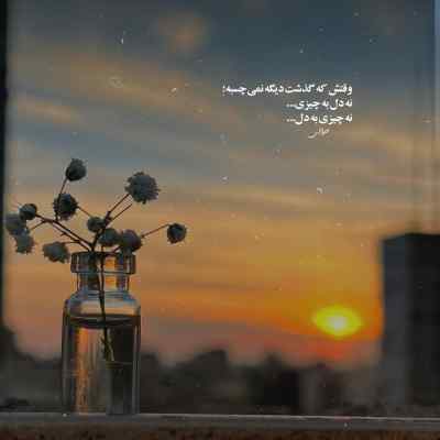 دانلود ریمیکس پرنده شادی من رفته که برنگرده از مسلم فتاحی