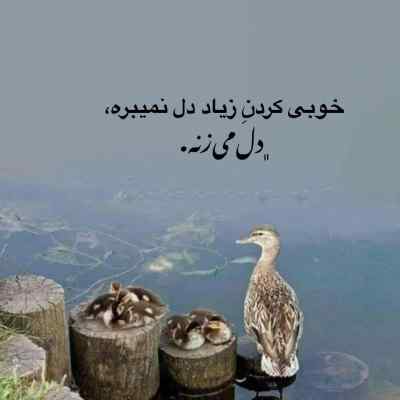دانلود آهنگ نگو تمومه عمر آشنایی با صدای زن