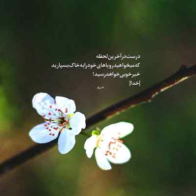 دانلود آهنگ رو به راه نیست احوالم شبا بد روزا درگیر کارم