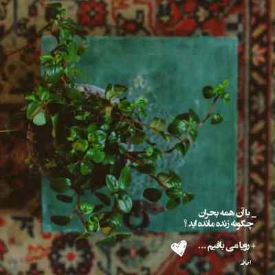 دانلود آهنگ یکی بود یکی نبود سامی بیگی