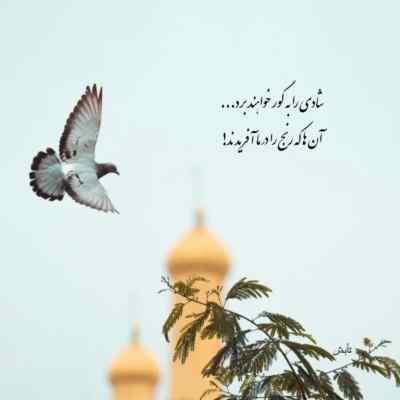 دانلود آهنگ علیرضا افتخاری ساقیا بده جامی زان شراب روحانی